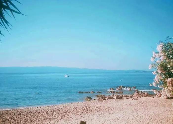 Magnifique T2 Vue Sanguinaires Lägenhet Ajaccio (Corsica)