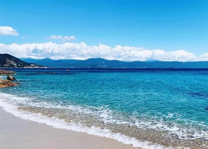 Magnifique T2 Vue Sanguinaires Lägenhet